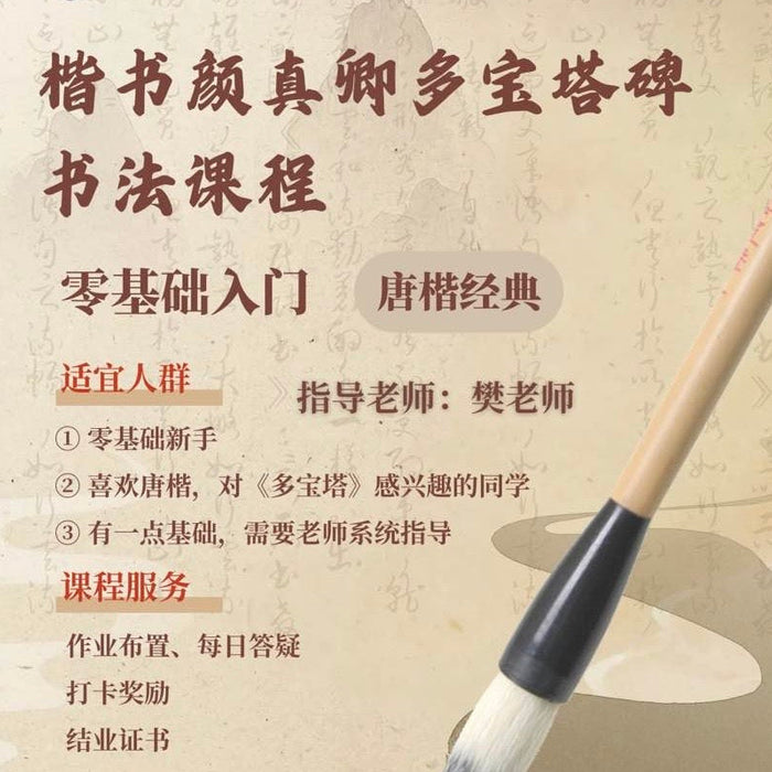 【书法课程】楷书颜真卿多宝塔碑 零基础入门 唐楷经典