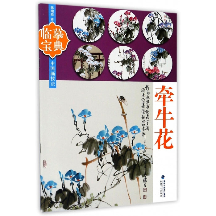 临摹宝典：牵牛花