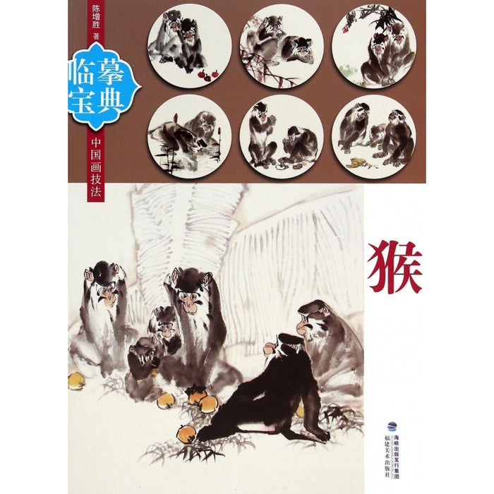 临摹宝典：猴
