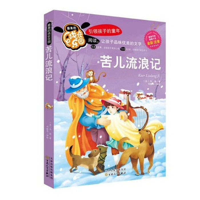 最美的成长乐园：苦儿流浪记