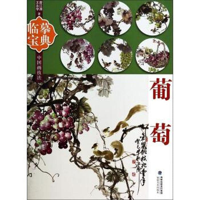 临摹宝典：葡萄