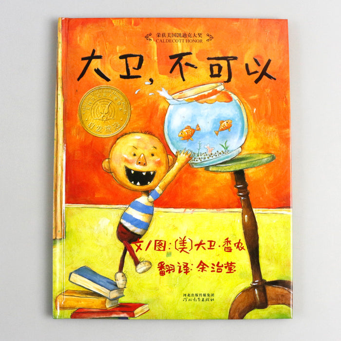 大卫，不可以
