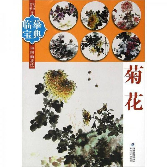 临摹宝典：菊花
