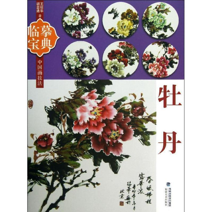 临摹宝典：牡丹