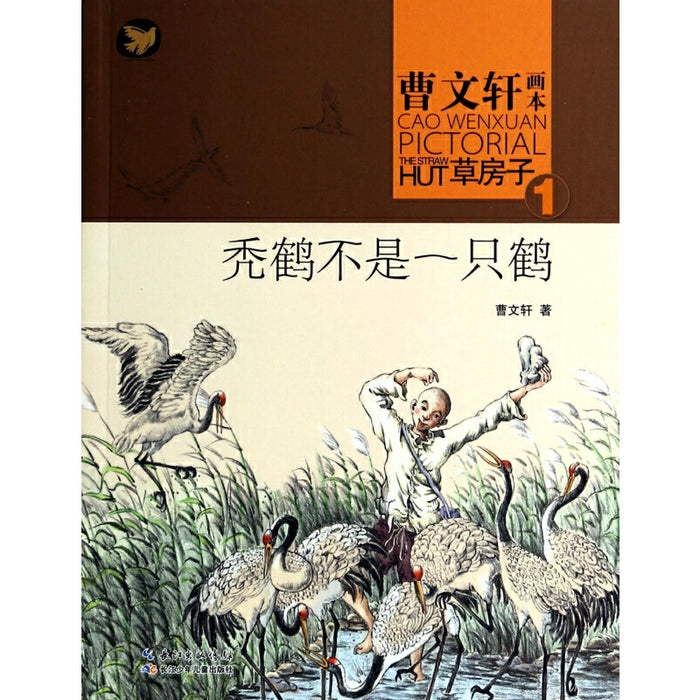 秃鹤不是一只鹤