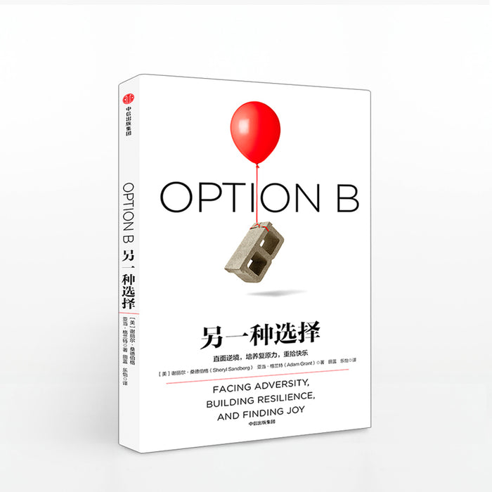 另一种选择