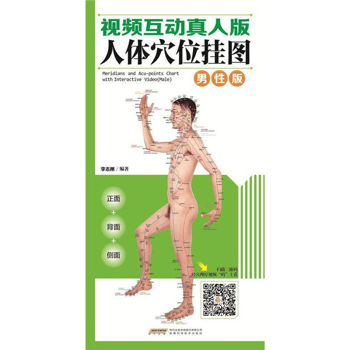 人体穴位挂图 男性版