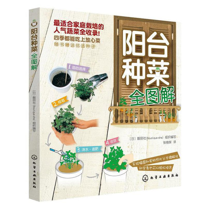 阳台种菜全图解
