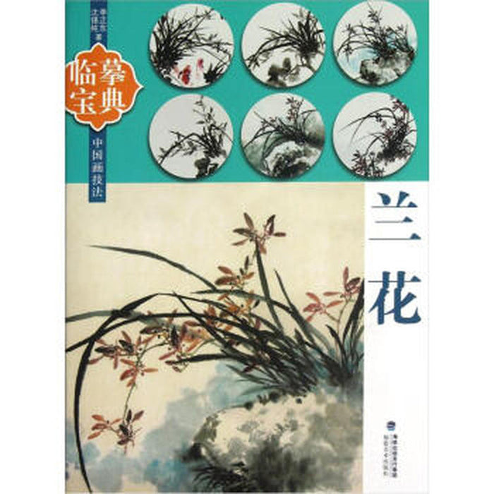 临摹宝典：兰花