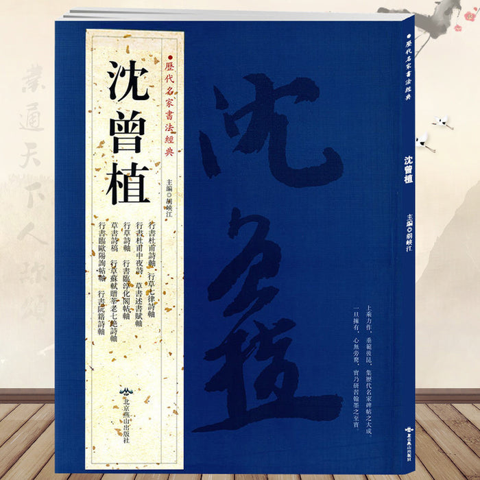 历代名家书法经典 沈曾植