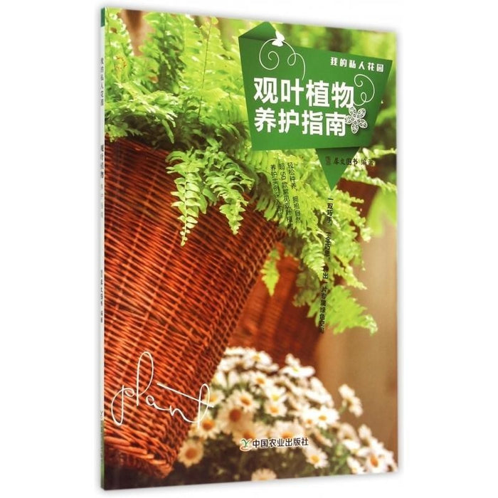 观叶植物养护指南