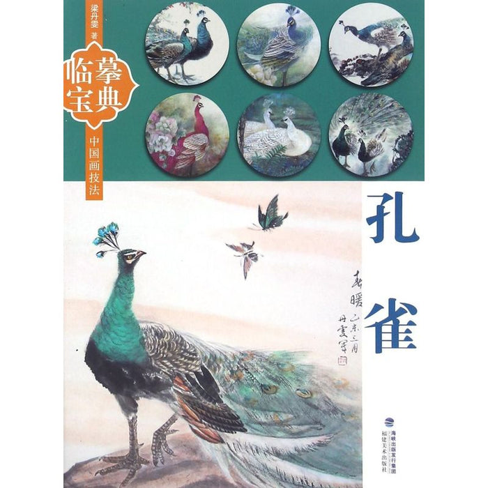 临摹宝典：孔雀