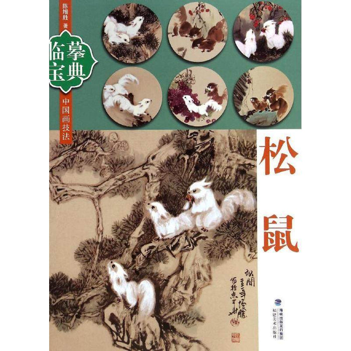 临摹宝典：松鼠
