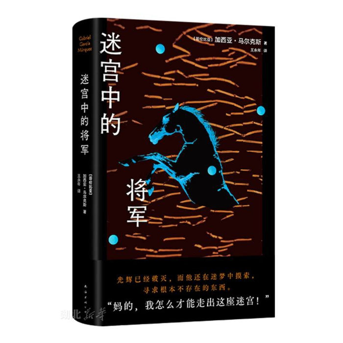 迷宫中的将军