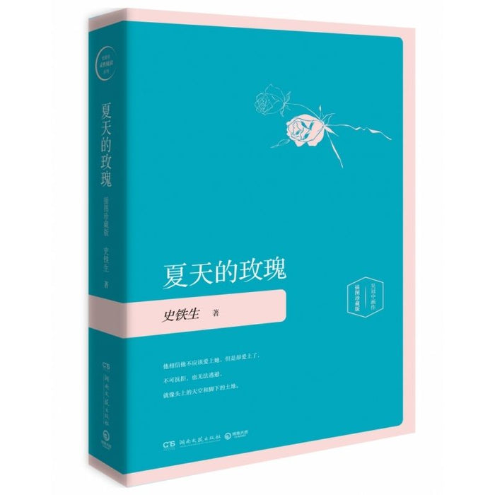 夏天的玫瑰