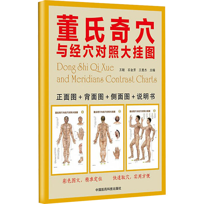 董氏奇穴与经穴对照大挂图