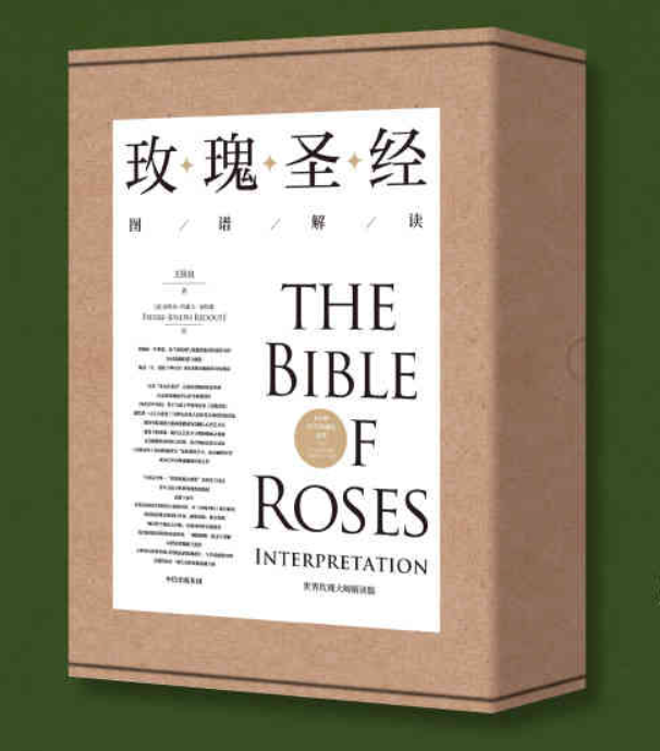 玫瑰圣经图谱解读