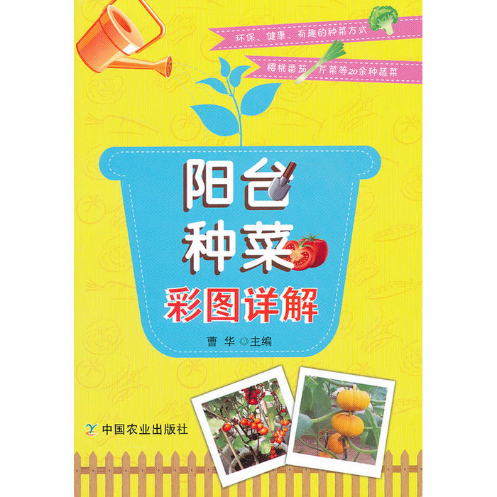 阳台种菜彩图详解