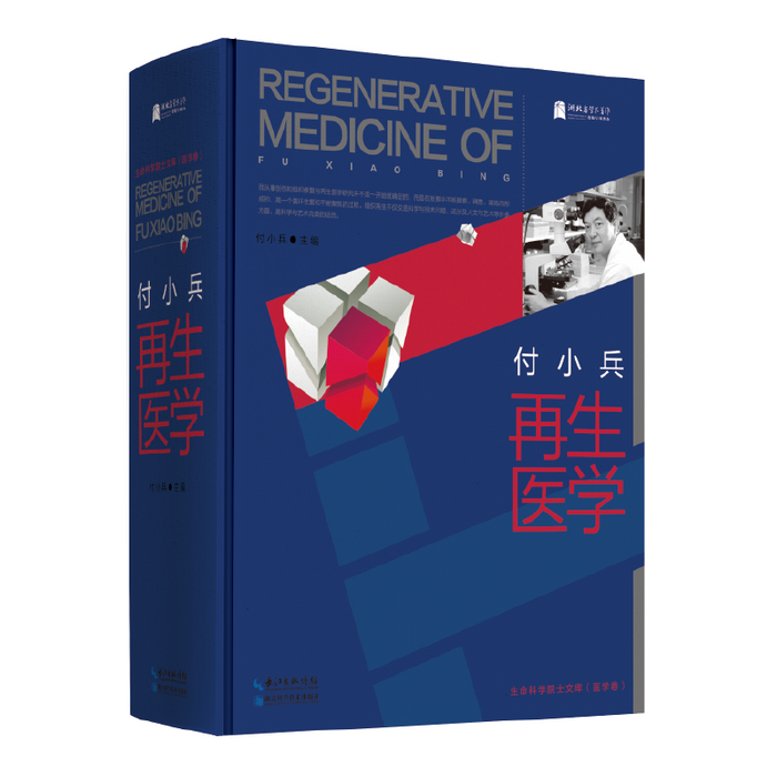 付小兵再生医学