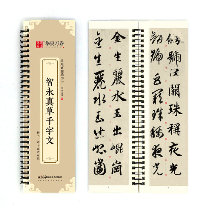 近距离临摹字卡：智永真草千字文