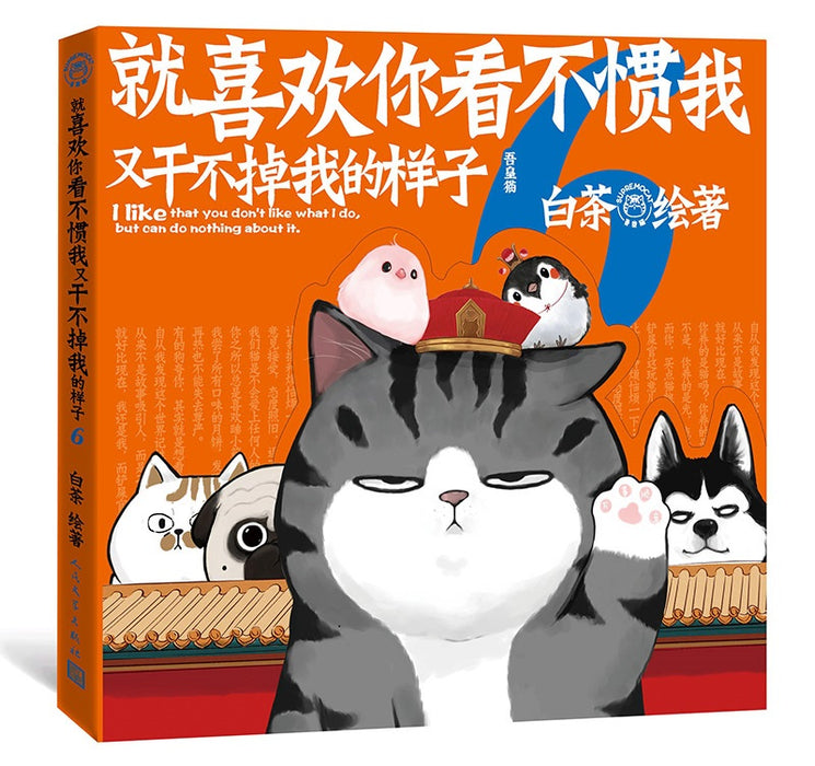 就喜欢你看不惯我又干不掉我的样子6