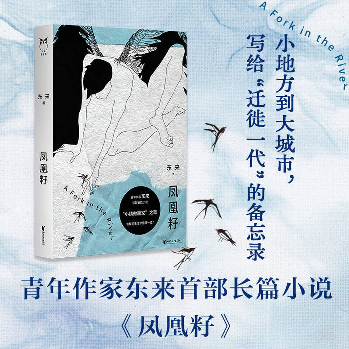 凤凰籽