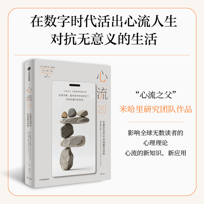 心流2.0 在复杂世界中创造最优体验