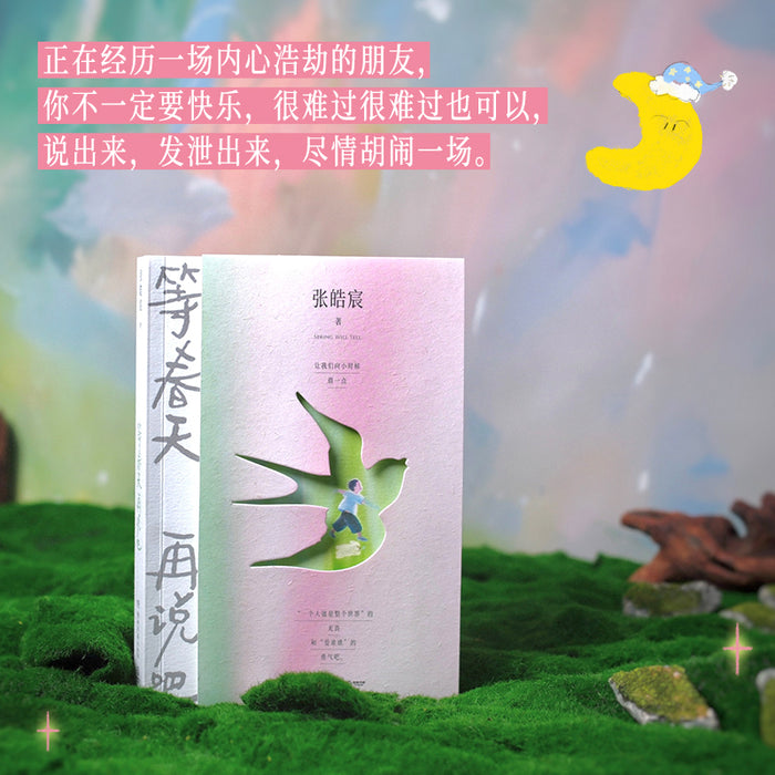 等春天再说吧 张皓宸2025全新随笔集