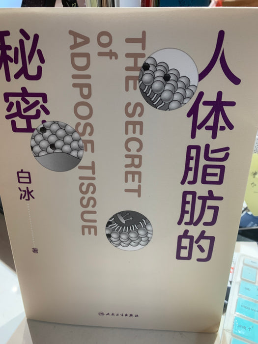 人体脂肪的秘密