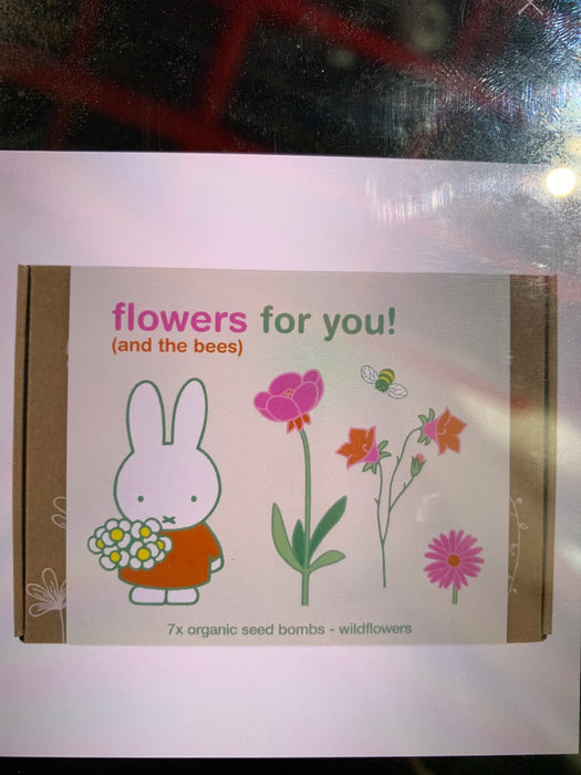 wildflower seed ball gift box