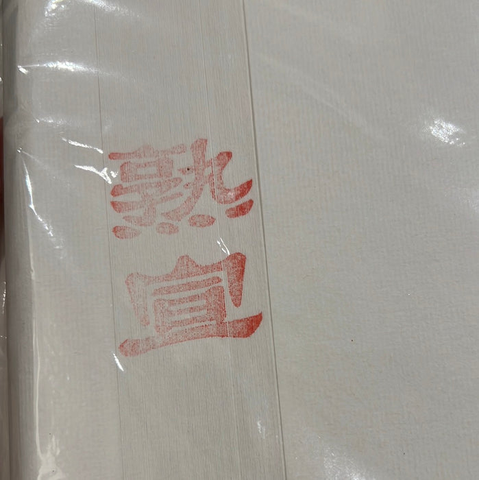 Chinese Calligraphy & Ink Painting Practice Xuan Paper - Treated -  69 x 46cm 4尺3开书法国画练习纸：熟宣