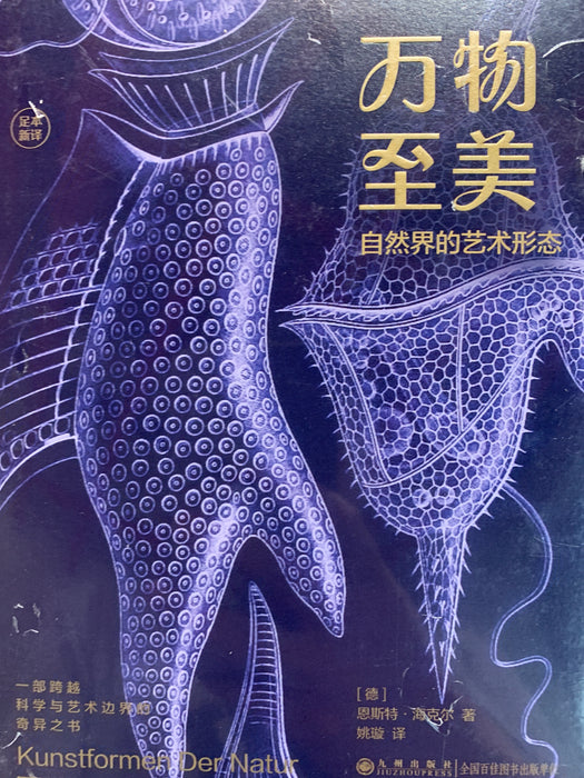 万物至美