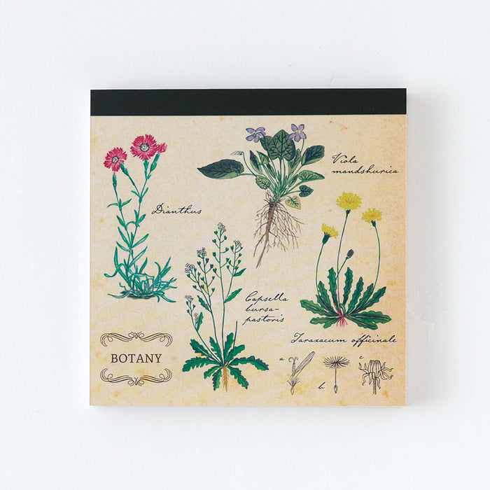 GreenFlash Picture Memo Pads - Botany 学科图鉴便签本 植物学
