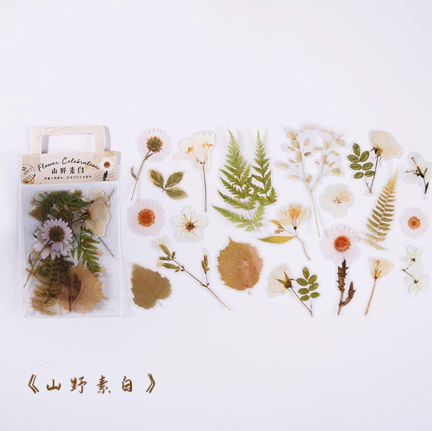 MOORE Flower Celebration Series PET Stickers Pack 40pcs 沐染PET贴纸包 原野自深处系列 山野素白