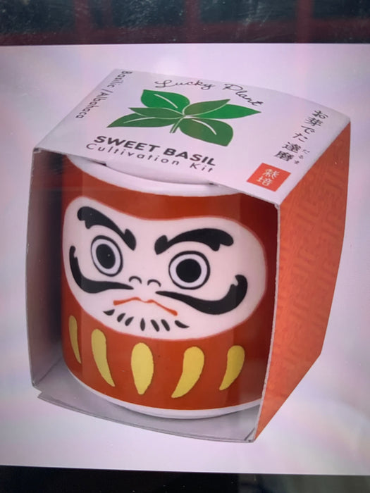 lucky plant daruma doll