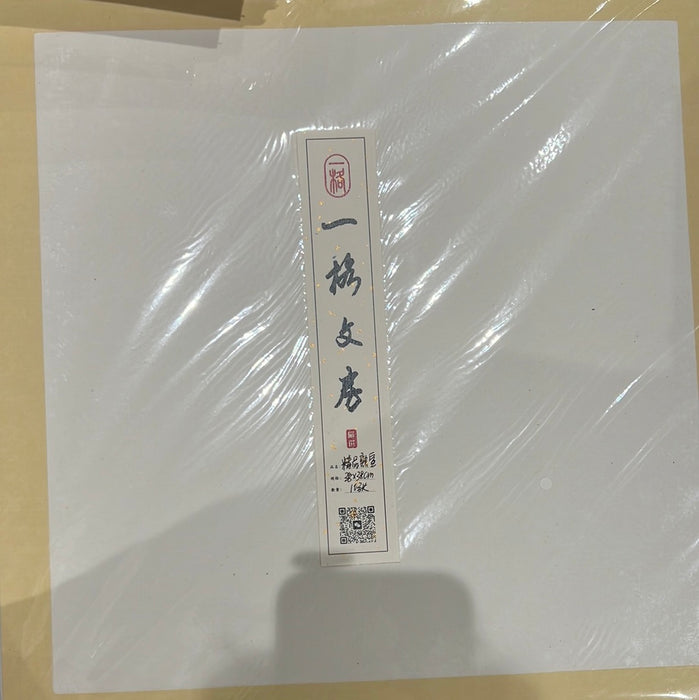 Eglance Premium Squared Xuan Cardstock一格文房·卡纸 精品熟宣 方形 38x38cm