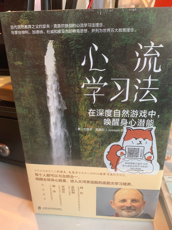 心流学习法