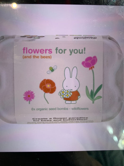 wildlower seed ball gift box