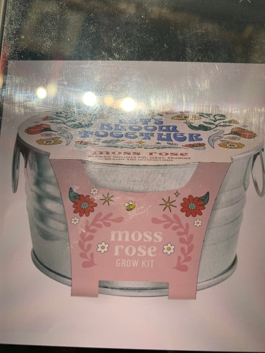 mini galvanized basin moss roes grow kit