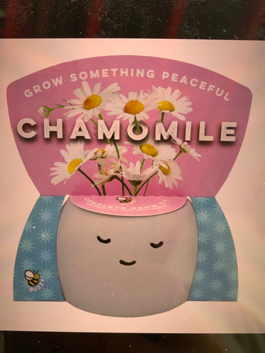 chamomile grow kit