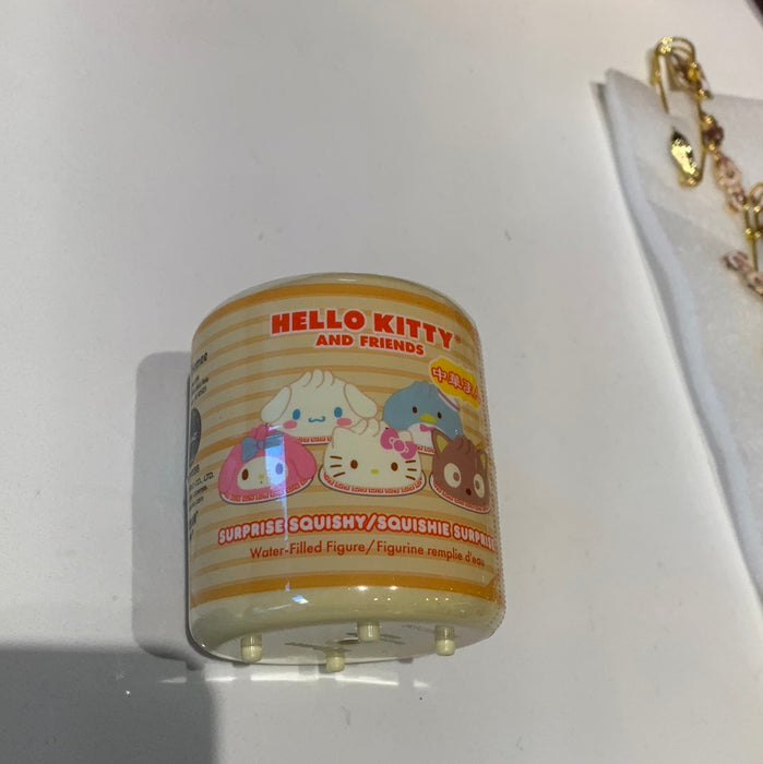 Steamed Bun Capsule Squishies Hello Kitty and Friends (Series 3)三丽鸥捏捏乐盲盒 第三弹