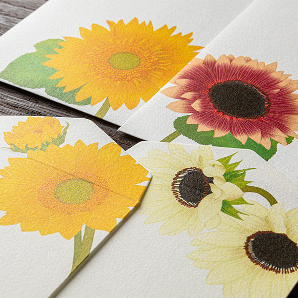 MIDORI Paper Series Envelope - Sunflower 日本MIDORI纸系列 信封 向日葵