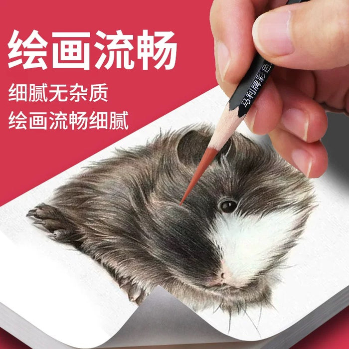 Marie's Colored Carbon Drawing Pencils 6colors 12PCS马利彩色炭笔 12支混装