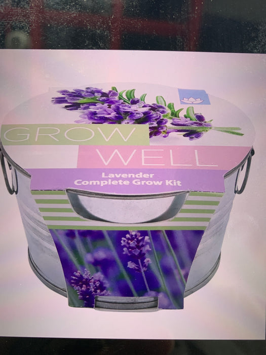 mini galvsnized basin lavender