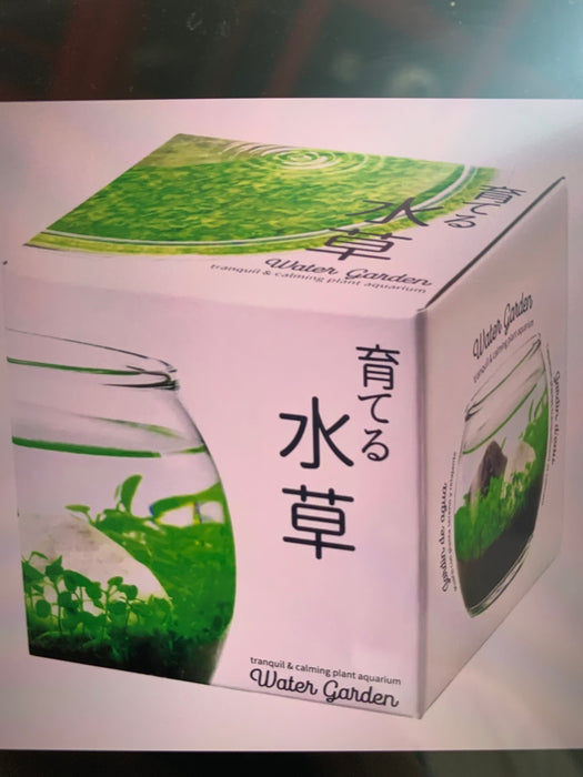 water garden