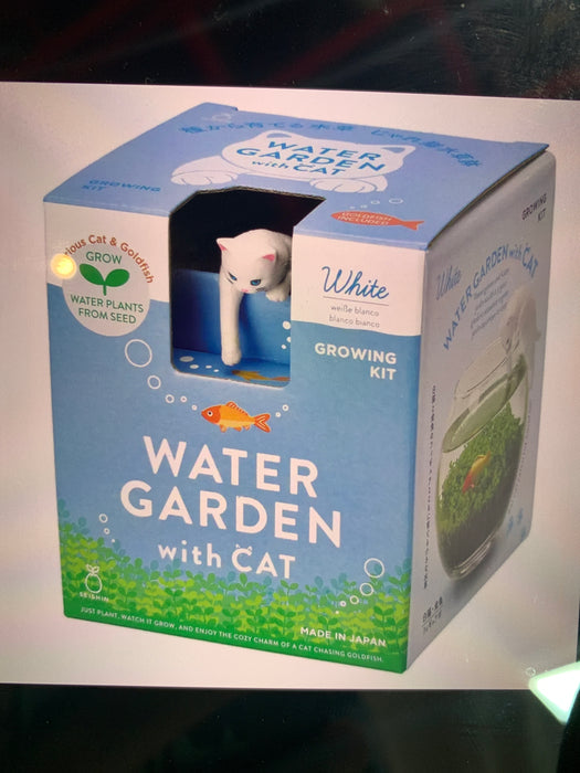 water garden with cat white