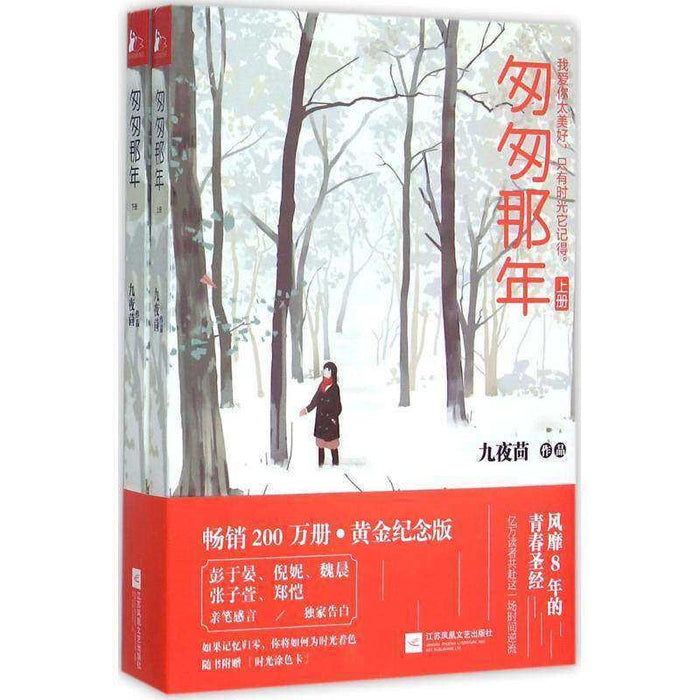 匆匆那年（上下册）