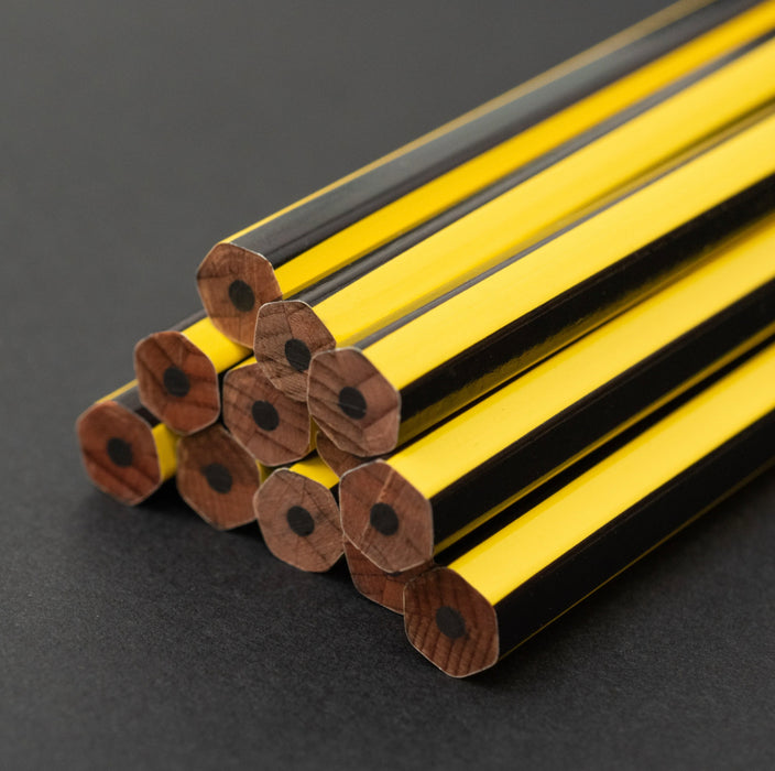 Blackwing Volume 651 - The Bruce  Lee Pencil(Set of 12)黑翼Volume 651限定铅笔套装（12支）李小龙