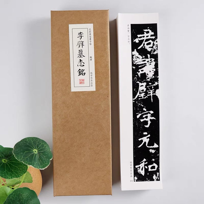 近距离字卡：李壁墓志铭