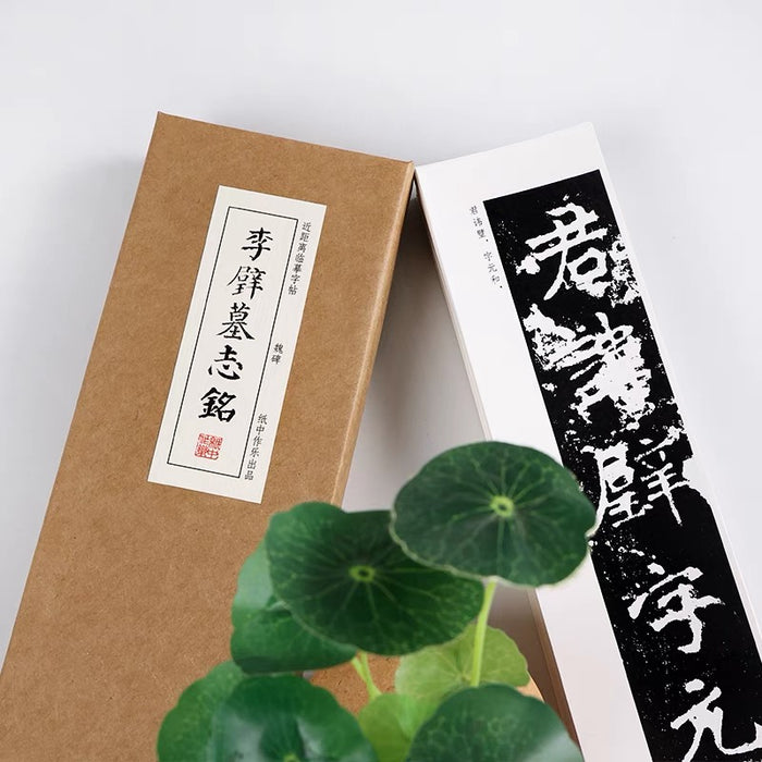 近距离字卡：李壁墓志铭